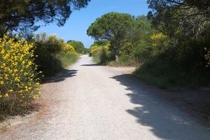 8 CONSEILS POUR COURIR QUAND IL FAIT CHAUD