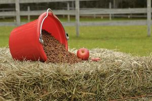 Journée Nutrition équine dans les Deux-Sèvres (79 - Poitou-Charentes, Nouvelle Aquitaine)