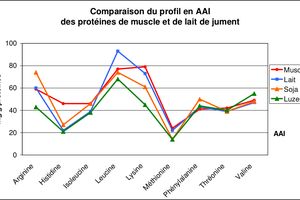 Lait, croissance du poulain et qualité protéique des aliments