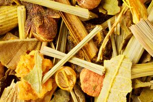 Tisane des Princes