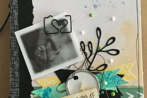 Album aux brushos