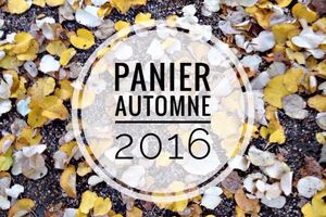 Panier - Automne 2016