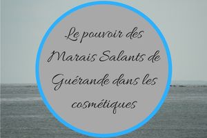 Le pouvoir des Marais Salants de Guérande dans les cosmétiques bio