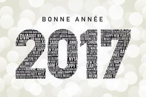 Bonne année 2017