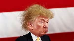 Ce que dit Donald de la France
