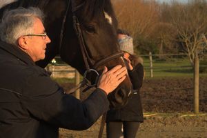 Saumur 2016 : Journée du jeudi 13, partie 3 : de l'enseignement individuel à l'enseignement collectif par Patrice Franchet D'Espérey.