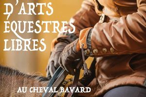 Festival d'Arts Équestres Libres, l'idée d'un collectif : regrouper les passionnés d'Equitation et du Cheval.