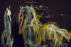 Festival d'Arts Equestres Libres 2017 ... Art 12 : soirée ...