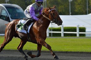 Pronos R1 à Vincennes Lundi