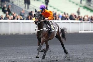 Pronos R1 à Vincennes Dimanche