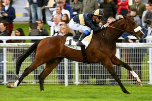 Le tuyau du 6 août à Deauville