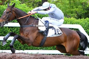 Quinté Dimanche à Auteuil : Ykar, pour un rachat (by Simon)