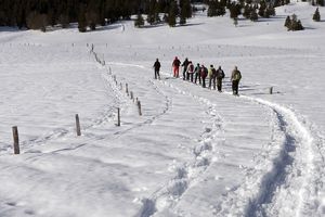 SEJOUR RAQUETTES A BOIS D'AMONT PRES DES ROUSSES (MARS 2017)
