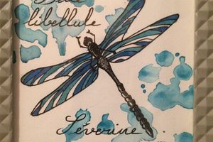 Belle libellule