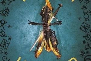 Witch hunter. Tome 1 de Virginia Boecker