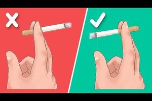 Vidéos - 10 choses sur les cigarettes