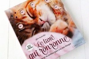 Le Livre qui Ronronne, Cultivez votre art du bonheur grâce à la Chat Thérapie #Livre à gagner