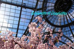 Ambiances de Taste of Paris