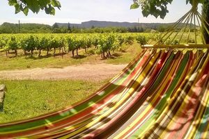 Lundi de Solidarité