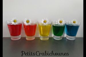 Colorer pâquerettes avec colorants alimentaires.