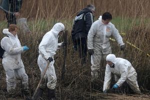 Famille Troadec : un trésor au cœur du drame