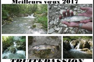 Meilleurs voeux 2017