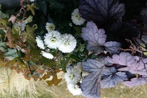 Balconnières d'automne