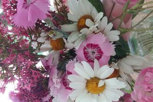 Bouquet de juin
