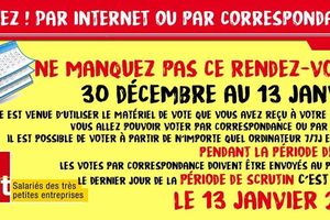 Elections pour les salariés des TPE du 30 Dec 2016 au 13 Janv 2017