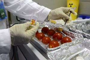 Alimentos larga vida: irradiados