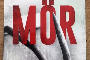 "Mör", de Johana Gustawsson