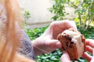 Ice cream cookie sandwich, la tendance de l'été ! (vegan)