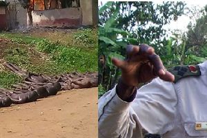 Uganda : UPDF embarrassed us on Kasese killings – Ggwanga