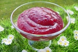 QUE FAIRE AVEC DU PRUNEAUX - PRUNES - QUETCHES ( thermomix)