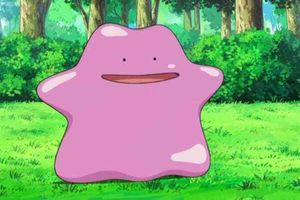 "Un secret par jour dévoilé pour Pokemongo", astuces échangées à l'école et sur le web