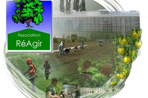 Roubaix marché Bio Reagir au Jardin de Traverse