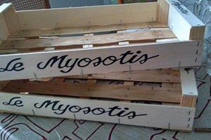 Grand chantier au Jardin écologique de Myosotis