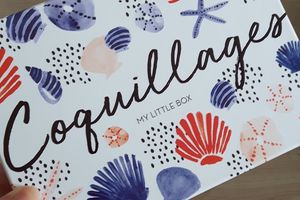 My little box de juillet: Coquillage