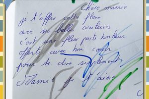Carte fête des mamies