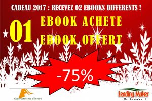 ENFIN DISPONIBLE VOTRE CADEAU DE FIN D'ANNEE