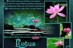 Pensée du jour -224-