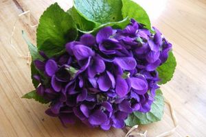 Mémé Violette