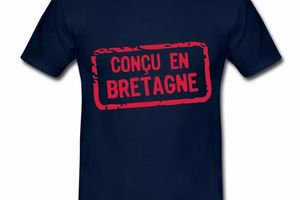 T Shirt Bretagne Breizh BZH 146159616-109422991