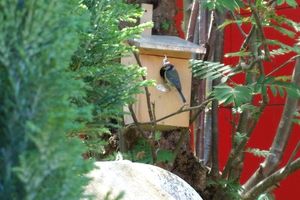 Le bonheur est au jardin-potager!