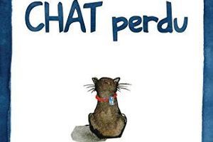 Chat perdu à Nuzéjouls
