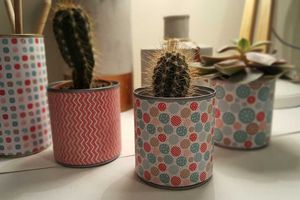 Idée Cadeau N° 4: les minis cactus