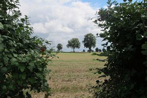 Durchblick