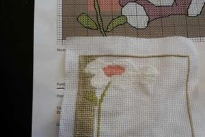 Noukies - Nina par Nancy W. - AV 1 et 2