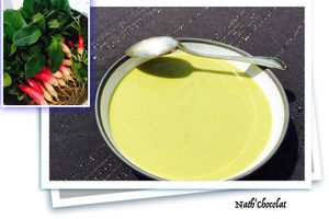 Soupe de fanes de radis
