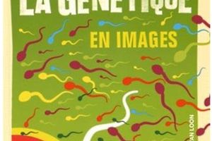La génétique en images, de Steve Jones et Borin Van Loon